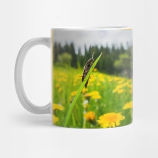 beetle in the dandelion field Mug